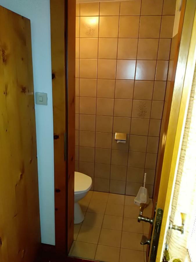 Hotel Garni Alpenrose 伊施格尔 外观 照片